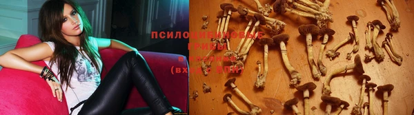 apvp Богородицк