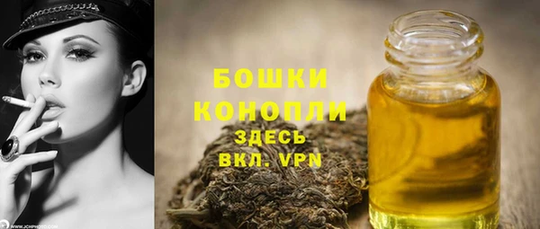 apvp Богородицк