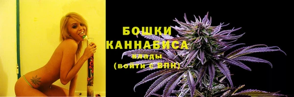 бутират Богданович
