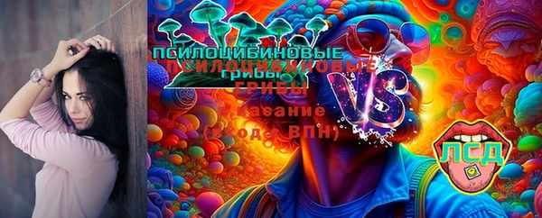 apvp Богородицк
