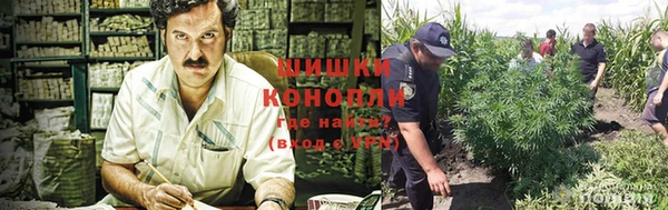 бутират Богданович