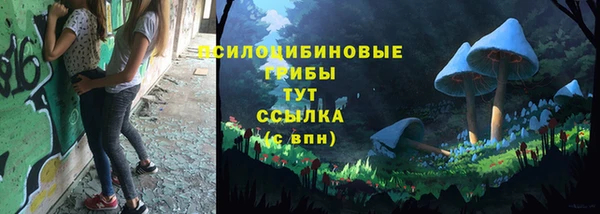бутират Богданович