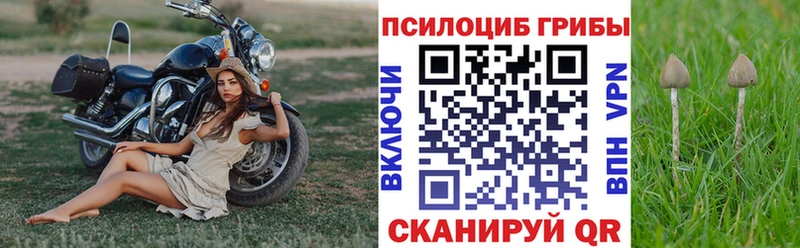 хочу   Надым  Галлюциногенные грибы Magic Shrooms 